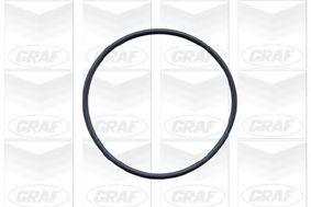 Водяной насос